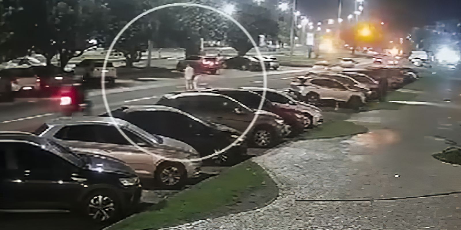 homem-que-atropelou-e-matou-fisioterapeuta-vai-a-juri-popular-no-rio