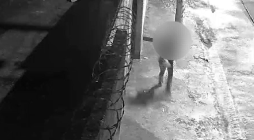 video:-veterinaria-e-baleada-durante-tentativa-de-roubo-em-santo-andre