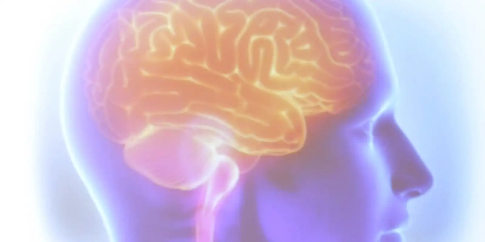 projeto-artemis-avalia-genetica-de-pacientes-que-sofreram-avc