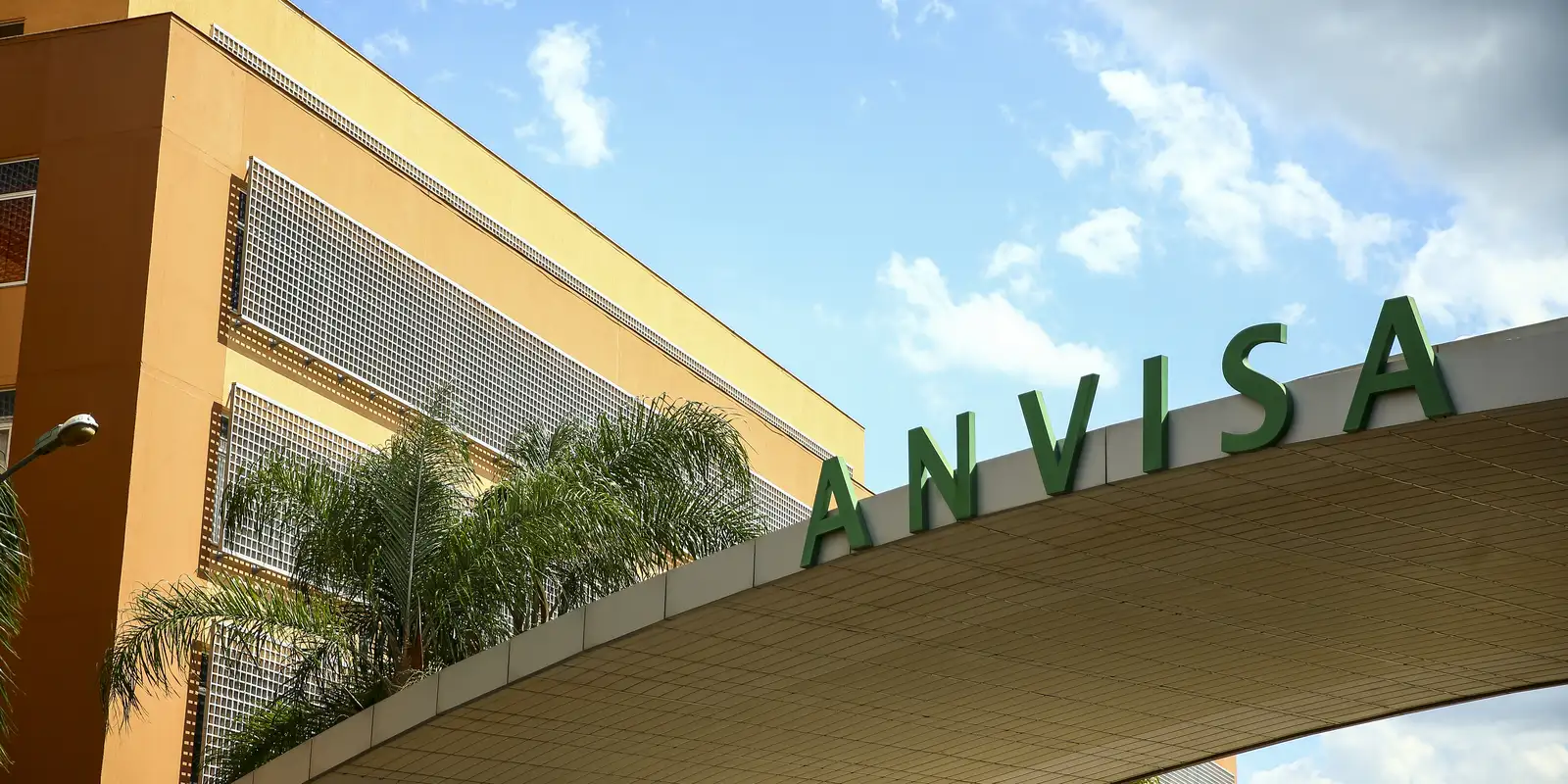 anvisa-proibe-produtos-a-base-de-alulose,-um-tipo-de-adocante;-entenda