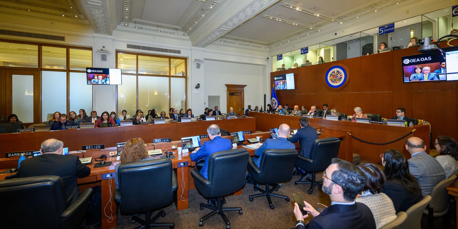 na oea-brasil-afirma-que-vai-atuar-pela-paz-na-america-latina-e-caribe