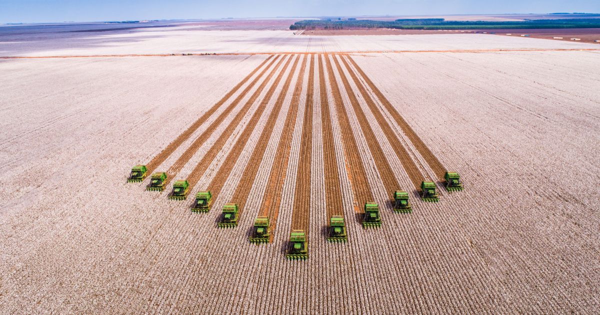 producao-agricola-maior-deve-fortalecer-geracao-de-bioenergia