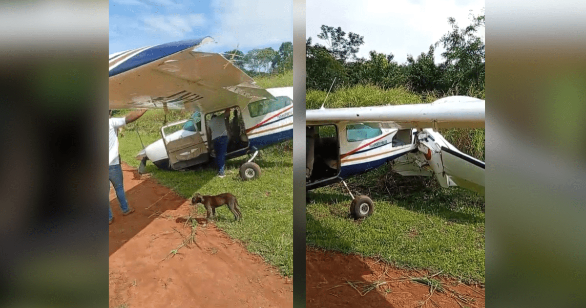aviao-com-familia-cai-em-aldeia-indigena-no-para;-veja-video