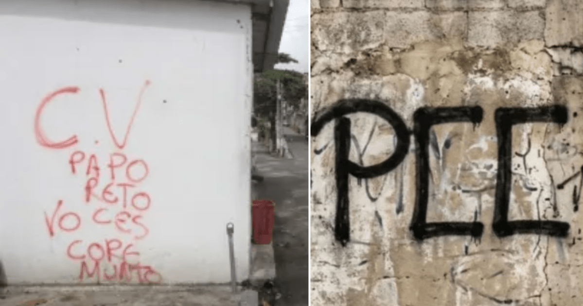 professora:-setor-financeiro-deve-ser-mais-afetado-em-decisao-sobre-faccoes