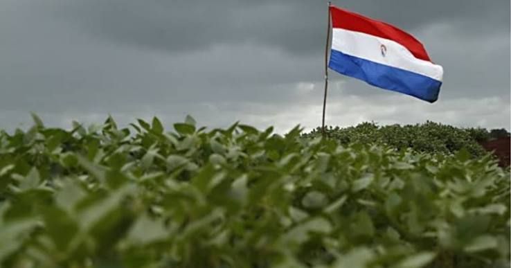 soja-do-paraguai-caminha-para-safra-recorde,-enquanto-clima-pressiona-milho