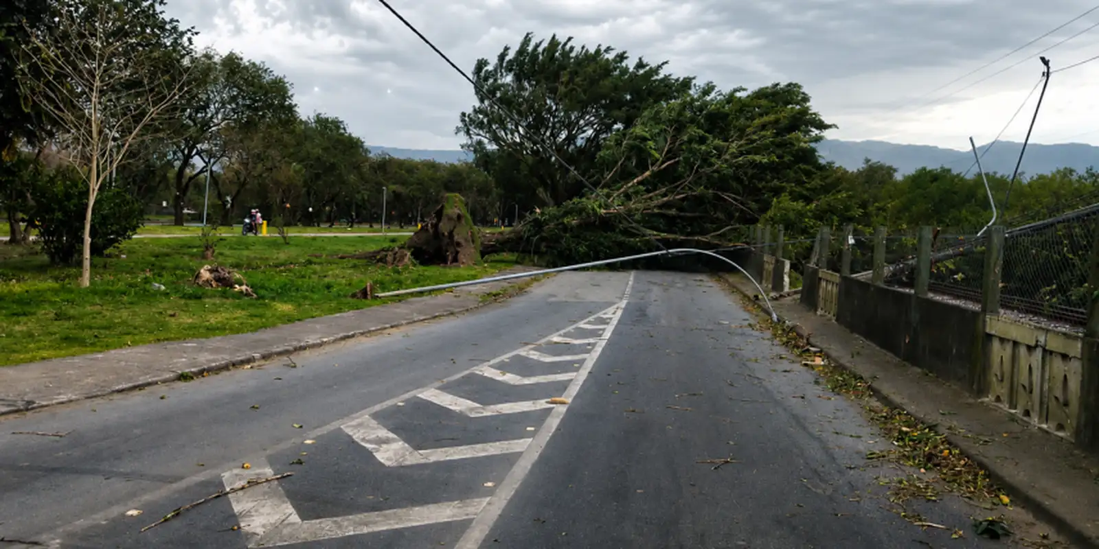 sp:-ventania-pode-atingir-50-km/h-no-fim-de-semana